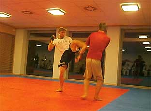 2011-MMA-3