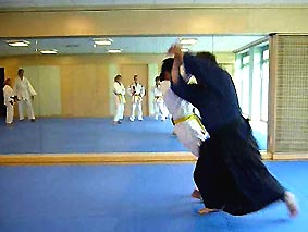 Aikido-Budokan-3