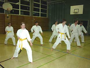 Karate Unterstufentraining 2011